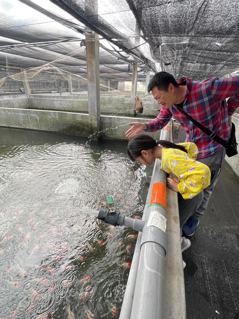 大人小孩都愛,感受與金魚最近的距離。 親子參觀
