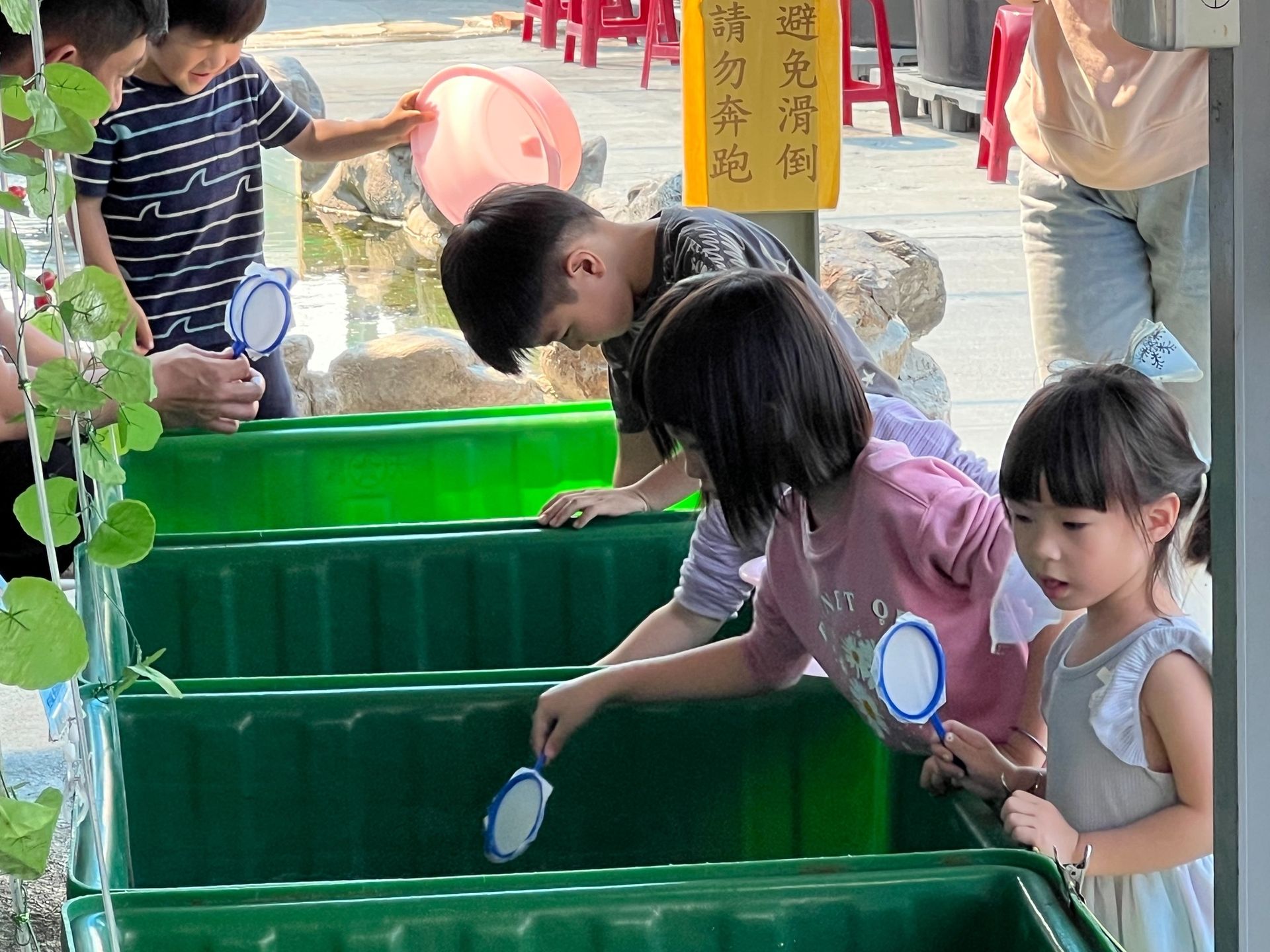 大人小孩都愛,感受與金魚最近的距離。 餵金魚的照片